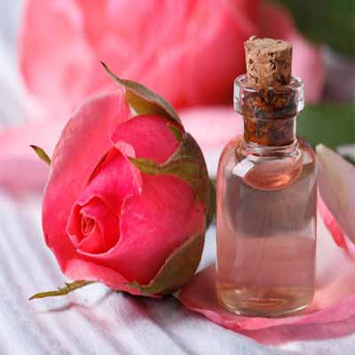 دانلود اهنگ دیگه نیست بخوام دستاشو بگیرم با صدای دختر