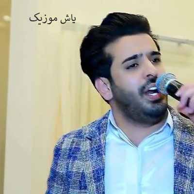 دانلود آهنگ دلم میخاد پیشت باشم مو تو نوازش کنم محسن دولت