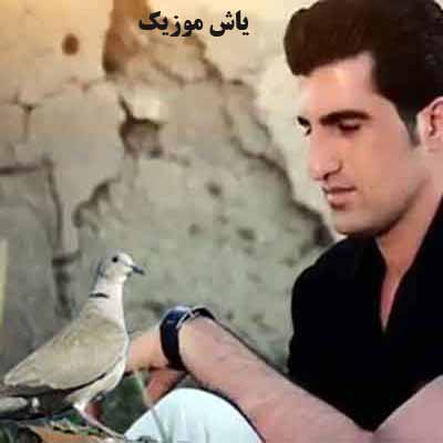 دانلود آهنگ کجا رفتی کجایت مانده خوابه دلبرت محسن لرستانی