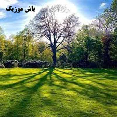 دانلود آهنگ هادی رحیمی نارفیق