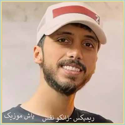 دانلود آهنگ تورو خواستم تو باغ قلبم نشد همه ی این گلارو کندم نشد ریمیکس
