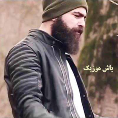 دانلود آهنگ دیوانه ام آری معین زد 