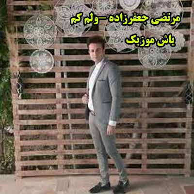 دانلود آهنگ ولم نکن مرتضی جعفرزاده