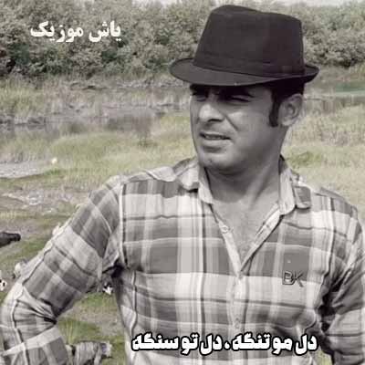 دانلود آهنگ دل مو تنگه دل تو سنگه قاسم فاضلی 
