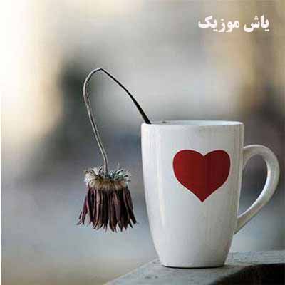 دانلود آهنگ بی احساس حجت قائمی و مجتبی ملک زاده
