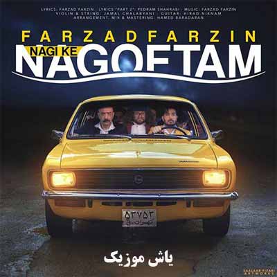دانلود آهنگ نگی که نگفتم فرزاد فرزین