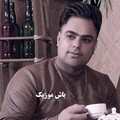 دانلود آهنگ تو بمون برام موسی الرضا هاتفی