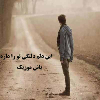 دانلود آهنگ این دلم دلتنگی تو رو داره