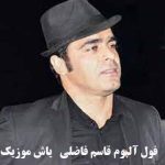 دانلود اهنگ قاسم فاضلی | تمام اجراها