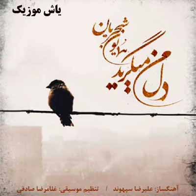 دانلود آهنگ دل من میگرید همایون شجریان