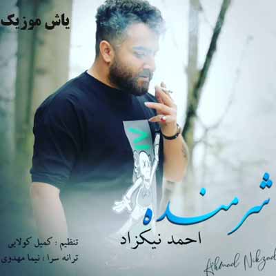دانلود آهنگ شرمنده احمد نیکزاد