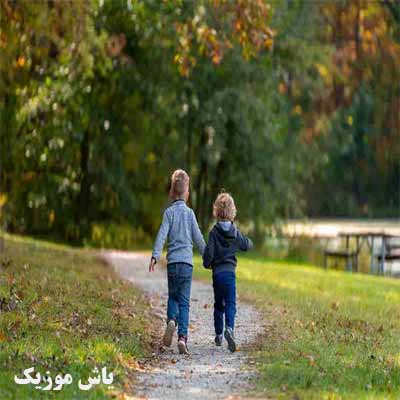 دانلود امشب دوباره با دلی غمگین میخونم میثم حسینی