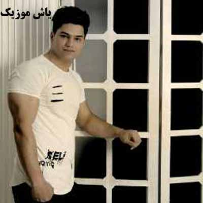 دانلود آهنگ عشق پنهان علی برزنونی
