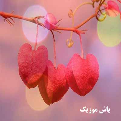 دانلود آهنگ آخه دردامو با کیا بگم که این کوه غمو بره از شونه هام کنار