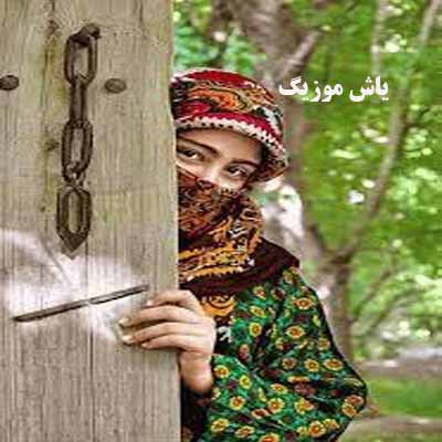 دانلود آهنگ دوره کمر شال طلایی داری یه سینه ریز گهکواری داری محمد اسدیان