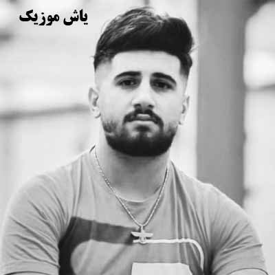 دانلود آهنگ منم سرگشته حیرانت ای دوست علی حمیدی