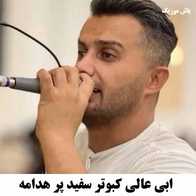 دانلود اهنگ کبوتر سفید پر هدامه