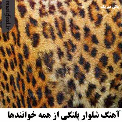 دانلود آهنگ شلوار پلنگی