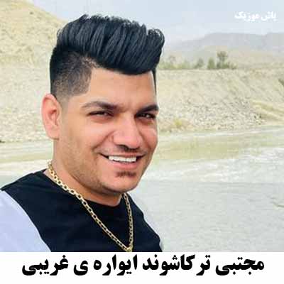 دانلود آهنگ مجتبی ترکاشوند ایواره ی غریبی