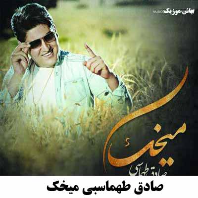 دانلود آهنگ لری میخک صادق طهماسبی