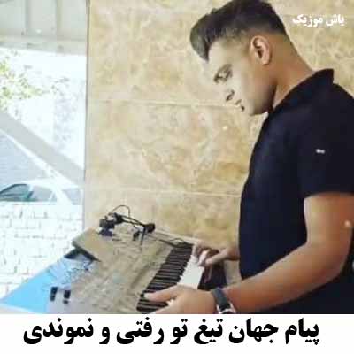 دانلود آهنگ تو رفتی و نموندی پیام جهان تیغ