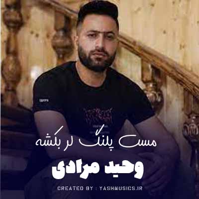 اهنگ محلی مست پلنگ لر بکشه