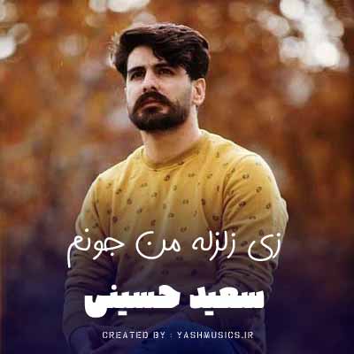 دانلود آهنگ زی زلزله من جونم آواره دلم کردی سعید حسینی (دلی) 