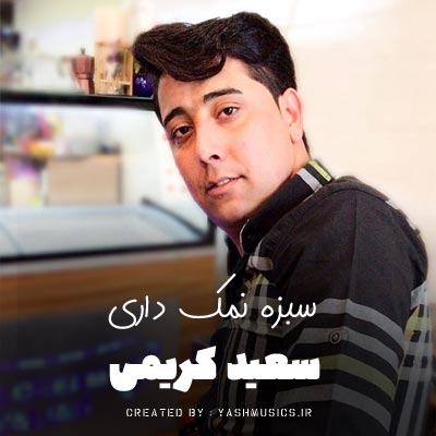 دانلود آهنگ سبزه نمک داری لای لای سعید کریمی