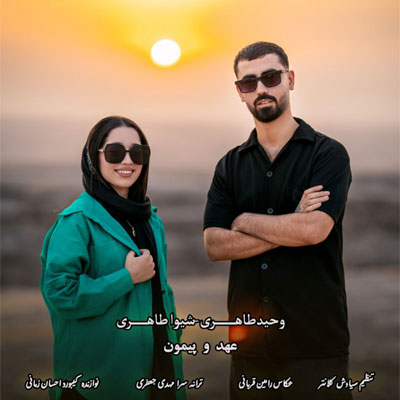 دانلود آهنگ به سی دردای مو جور طبیبن تیات وحید و شیوا طاهری