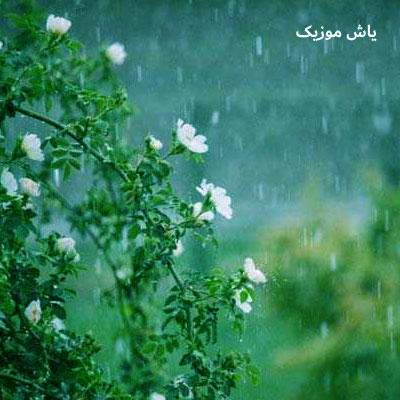 دانلود آهنگ نم نم بارون میزنه رو موهات دلبر من چقده قشنگه داوود یونسی و مهیار برومند