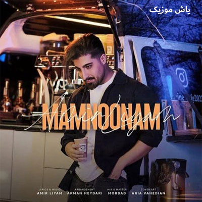 دانلود آهنگ ممنونم امیر رمضانی