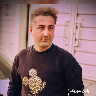 دانلود آهنگ بی تواز فاصله دور دلم میگیرد میثم احمدی / همراه متن