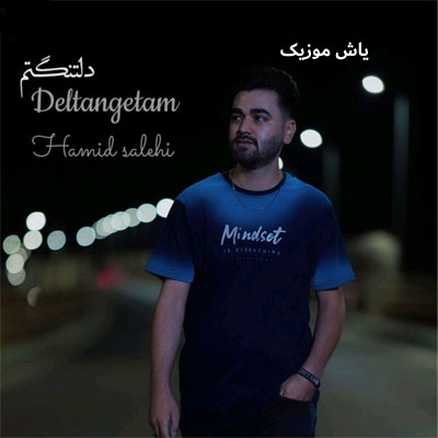 دانلود آهنگ دلتنگتم کسی و ندارم کسی و ندارم که درد دل کنم حمید صالحی / مرتضی جعفرزاده