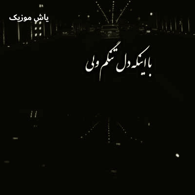 دانلود آهنگ با اینکه دلتنگم ولی دارم تحمل میکنم اصغر علیزاده / دلی