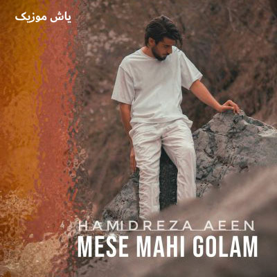 دانلود آهنگ مثه ماهی گلم حمیدرضا آیین / همراه متن