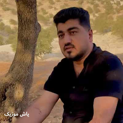 دانلود آهنگ غمی دارم من دل برارم ره زر گل علی مرادی / کامل 