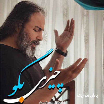 دانلود آهنگ زخمی به عمق بی کسی در سینه ام دارم بسی صائب ملکشاهی / با کیفیت 320