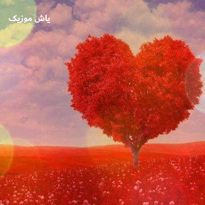 دانلود آهنگ بلد بودی منو همچیت چفت منه رادین / عاشقانه