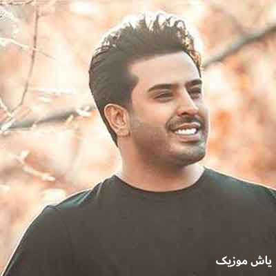 دانلود آهنگ تاب تاب موی تو خم خم ابروی تو محسن دولت / همراه متن