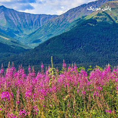 دانلود آهنگ آهو خانم بالا برند ماه پیشونی سرو سمند / همراه متن
