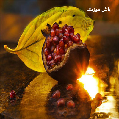 دانلود آهنگ بیا در سوگِ دلگیرِ گل سرخ از منوچهر طاهرزاده و شاهرخ