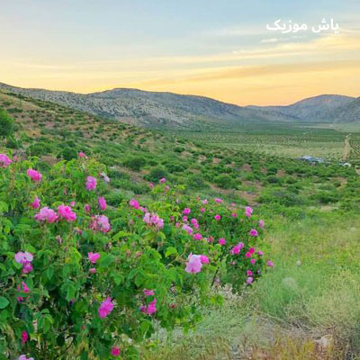 دانلود آهنگ تو به یک دشت پر از گل تو به یک شهر طلایی / هوش مصنوعی