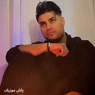 دانلود آهنگ لعنت به این گریه ها که شدن بی صدا امین فالجی / ریمیکس