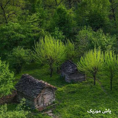 دانلود آهنگ کرمانجی اَلا یاره بده از لک و دیمه ستایش صادق زاده