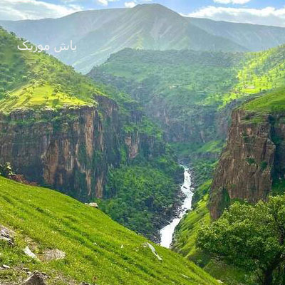 دانلود آهنگ گهی در شور و در سازم گهی با غصه دمسازم »» ترند اینستاگرام
