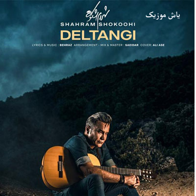 دانلود آهنگ دلتنگی شهرام شکوهی