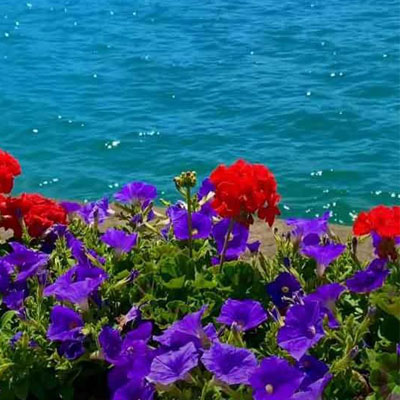 دانلود آهنگ لری شوق دلمی تو یارم تیه خوشگلمی تو یارم