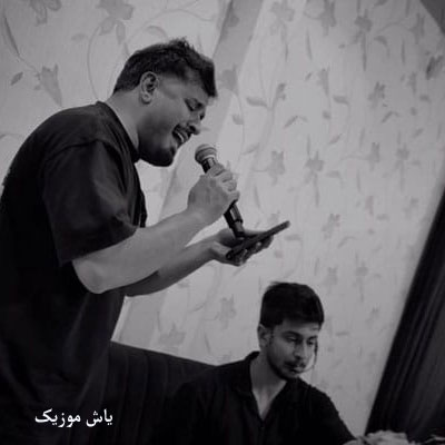 دانلود آهنگ چقدر بگم تو رو میخوام نرو نرو محسن دولت / دلی