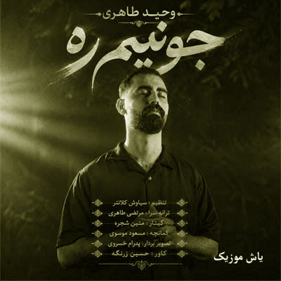 دانلود آهنگ جوونوم آرزو داروم وحید طاهری