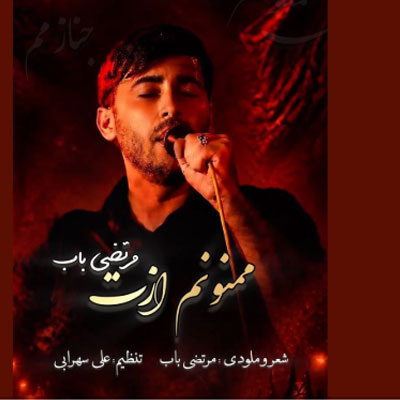 دانلود آهنگ ممنونم ازت مرتضی باب | همراه متن